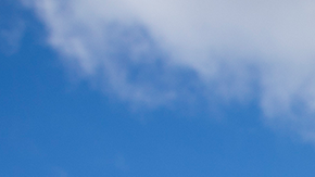 L.G.B.T. activists and their supporters rally in support of transgender people on the steps of New York City Hall, October 24, 2018 in New York City. Photo by Drew Angerer/Getty Image