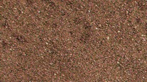 Photo courtesy of Sech. Art by Alan López for Remezcla