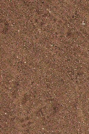 Photo courtesy of Sech. Art by Alan López for Remezcla