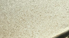 Rubén Blades as Daniel Salazar in Fear the Walking Dead, Season 6, Episode 10. Photo by Ryan Green. Courtesy of AMC