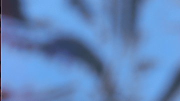 Photo by Erniel Rodriguez.