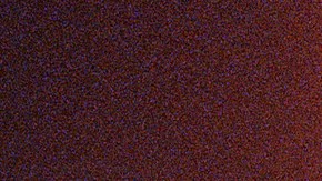 Photo by Daniel Patlan. Courtesy of the artist