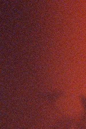 Photo by Daniel Patlan. Courtesy of the artist