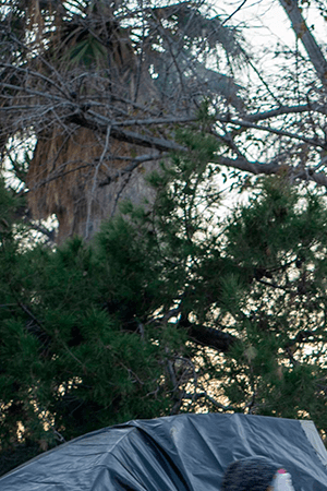 Girls carry a tent to across the campsite of asylum seekers near Bridge of the Americas at Chamizal Park on December 19, 2019 in Ciudad Juarez, Mexico. Photo by PAUL RATJE/AFP via Getty Images