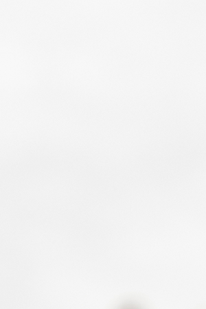 Representative Alexandria Ocasio Cortez (D-NY) speaks at a press conference at Corona Plaza in Queens on April 14, 2020 in New York City. Photo by Scott Heins/Getty Images