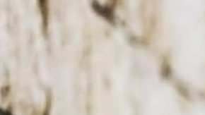 header-ariana-font