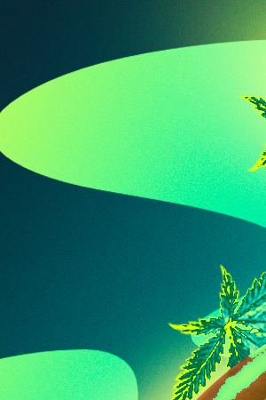 Art by Stephany Torres for Remezcla