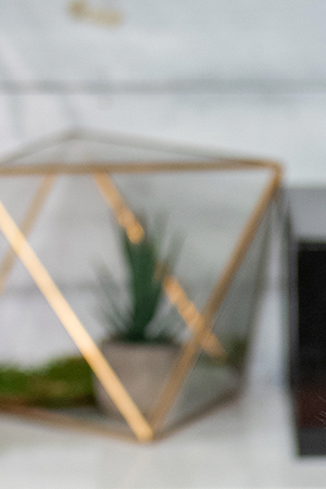 Lupita Nyong'o visits BuzzFeed's "AM To DM" on February 06, 2020 in New York City. Photo by Roy Rochlin/Getty Images