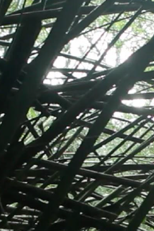 Courtesy of The Man of The Monkey