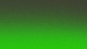 Art by Stephany Torres for Remezcla