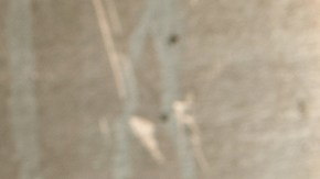 Photo by Jonathan Mannion. Courtesy of the artist