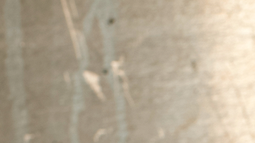 Photo by Jonathan Mannion. Courtesy of the artist