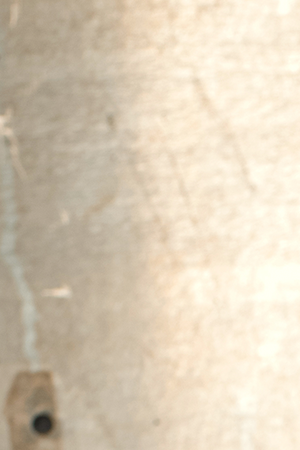 Photo by Jonathan Mannion. Courtesy of the artist