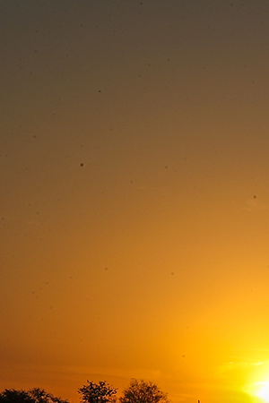 US trooper looks over Rio Grande river as hundreds of migrants from Honduras, Guatemala and El Salvador arrives in the U.S. after crossing the Rio Grande river from Mexico aboard, in Roma, Texas, United States on April 9, 2021. Photo by Tayfun Coskun/Anadolu Agency via Getty Images