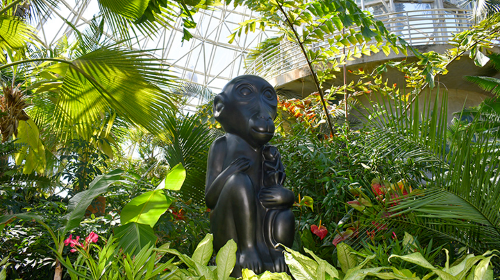 Courtesy of San Antonio Botanical Gardens