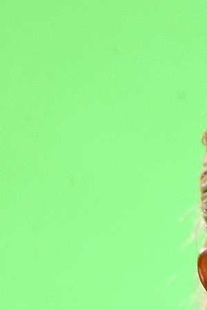 Selena Gomez speaks onstage during Global Citizen VAX LIVE: The Concert To Reunite The World at SoFi Stadium in Inglewood, California. Photo by Kevin Mazur/Getty Images for Global Citizen VAX LIVE