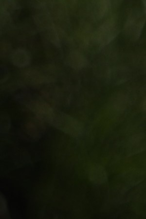 Photo by Christina Noriega For Remezcla