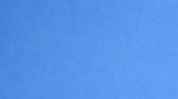 Photo by Michael Kovac/Getty Images for Acura