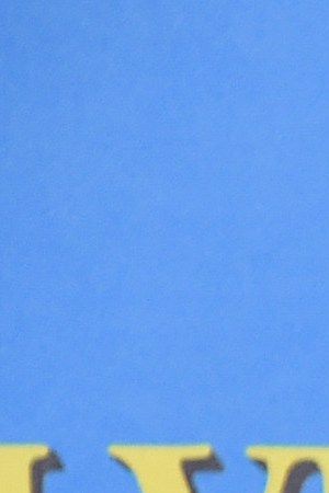 Photo by Michael Kovac/Getty Images for Acura