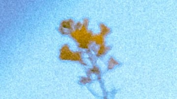 Photo by Abraham Recio. Courtesy of the artist