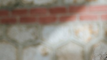 Photo by F.J. Jimenez / Getty Images