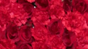 Jimmy Smits attends the Maestro Cares Foundation's Fourth Annual Changing Lives/Building Dreams Gala at Cipriani Wall Street on March 21, 2017 in New York City. Photo by CJ Rivera/FilmMagic