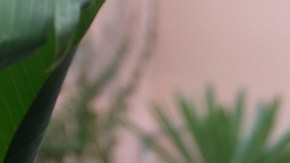 Photo by María González. Courtesy of the artist.