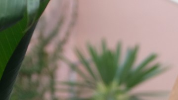 Photo by María González. Courtesy of the artist.