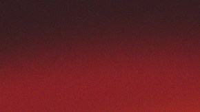 Art by Stephany Torres for Remezcla