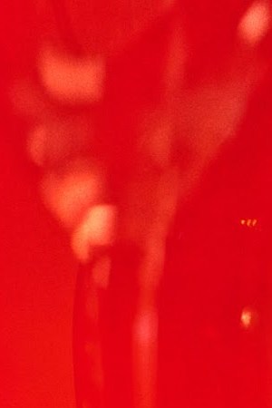 Courtesy of Calirosa.