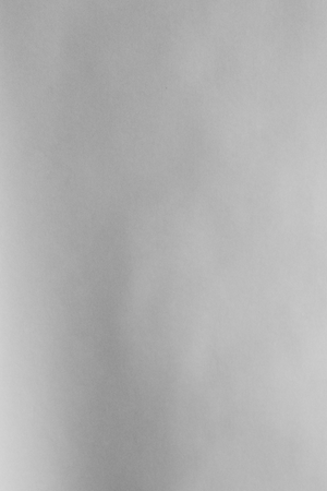 Photo by Viridiana Villa.