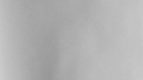 Photo by Viridiana Villa.