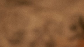 Photo: Kerry Brown | Amazon Studios