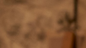 Photo: Kerry Brown | Amazon Studios