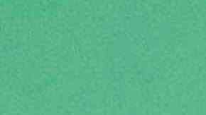 Courtesy of Fabian Guerrero