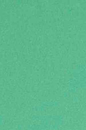 Courtesy of Fabian Guerrero