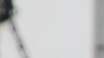 UNIVERSAL CITY, CALIFORNIA - JUNE 26: Actor / Comedian Gabriel Iglesias visits Hallmark's "Home & Family" at Universal Studios Hollywood on June 26, 2019 in Universal City, California. (Photo by Paul Archuleta/Getty Images)