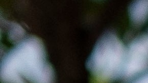 A man wearing a surgical mask sits in front of the emergency room entrance of the Ashford Presbyterian Community Hospital where the first coronavirus patient on the island died earlier in the day in San Juan, Puerto Rico on March 21, 2020. - Almost one billion people were confined to their homes worldwide as the global coronavirus death toll topped 12,000 and US states rolled out stay-at-home measures already imposed across swathes of Europe. More than a third of Americans were adjusting to life in various phases of virtual lockdown -- including in the US's three biggest cities of New York, Los Angeles and Chicago -- with more states expected to ramp up restrictions. (Photo by Ricardo ARDUENGO / AFP) (Photo by RICARDO ARDUENGO/AFP via Getty Images)