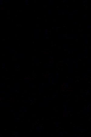 Devin Booker #1 of the Phoenix Suns looks on during the first half of the game against the Portland Trail Blazers at the Moda Center on March 10, 2020 in Portland, Oregon. Photo by Alika Jenner/Getty Images