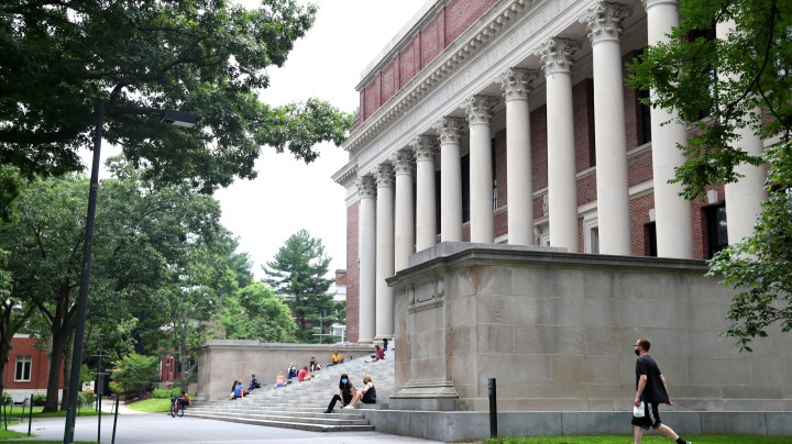 CAMBRIDGE, MASSACHUSETTS - JULY 08: A view of Harvard Yard on the campus of Harvard University on July 08, 2020 in Cambridge, Massachusetts. Harvard and Massachusetts Institute of Technology have sued the Trump administration for its decision to strip international college students of their visas if all of their courses are held online. (Photo by Maddie Meyer/Getty Images)