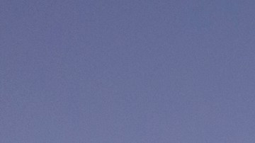 Photo by Getty Images