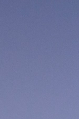 Photo by Getty Images