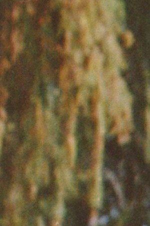 Photo by Terrence Blakely. Courtesy of Twin Shadow.