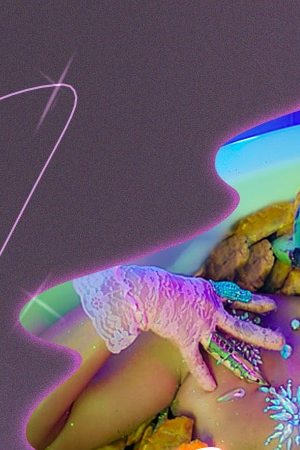 Art by Stephany Torres for Remezcla