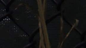 Signs and flowers hang on the memorial site of the collapsed 12-story Champlain Towers South condo building on July 10, 2021 in Surfside, Florida. With the death toll currently at 86 people, search and rescue personnel continue their recovery efforts as more grow concerned about the air quality in Surfside. Photo by Anna Moneymaker/Getty Images