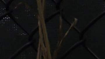 Signs and flowers hang on the memorial site of the collapsed 12-story Champlain Towers South condo building on July 10, 2021 in Surfside, Florida. With the death toll currently at 86 people, search and rescue personnel continue their recovery efforts as more grow concerned about the air quality in Surfside. Photo by Anna Moneymaker/Getty Images