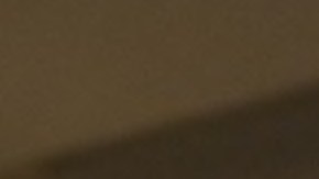 Courtesy of Team USA.