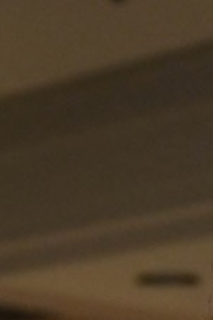 Courtesy of Team USA.