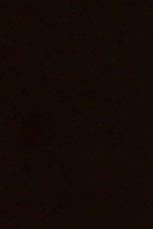 LOS ANGELES, CALIFORNIA - MAY 21: Luis Guzman attends the LA premiere of Epix's "Perpetual Grace, LTD" at Linwood Dunn Theater on May 21, 2019 in Los Angeles, California. (Photo by Phillip Faraone/Getty Images)