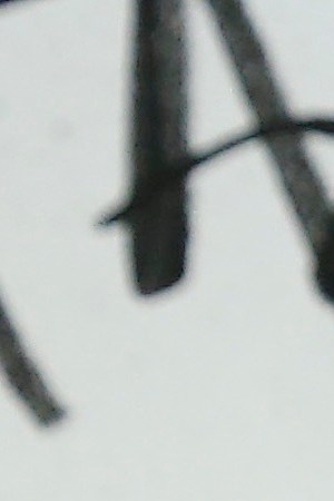 NEW YORK, NEW YORK - AUGUST 23: Tainy visits Music Choice on August 23, 2019 in New York City. (Photo by John Lamparski/Getty Images)